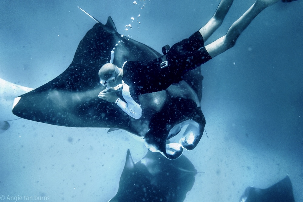 Under the Sea