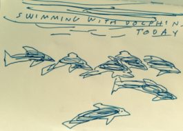 free diving w dolphins sketch